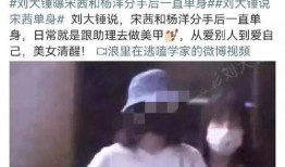 刘大锤最新爆料宋茜,宋茜神秘事件真相揭晓